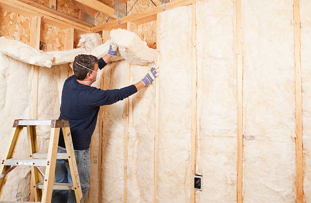 Professional Insulation Removal & Installation in Lansing, MI